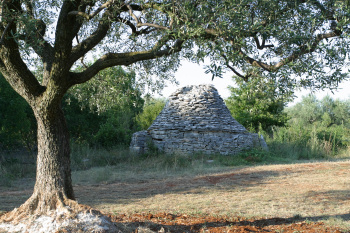 Steinhaus