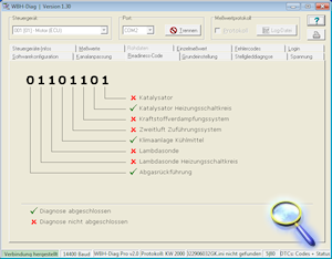 WBH-Diag Screenshot 