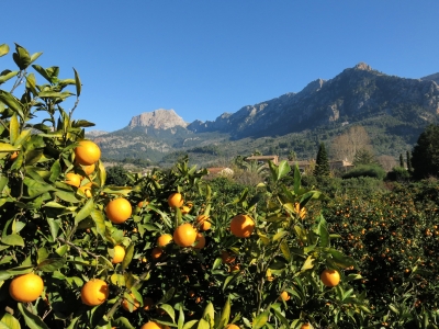 Mallorca