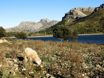 Mallorca