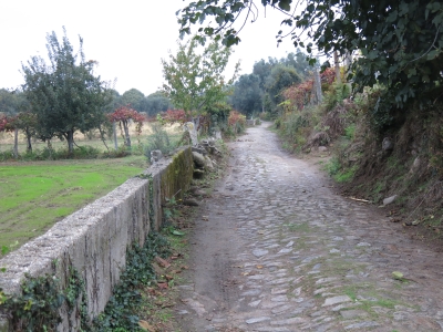 Caminho Português de Santiago