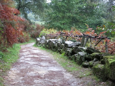 Caminho Português de Santiago