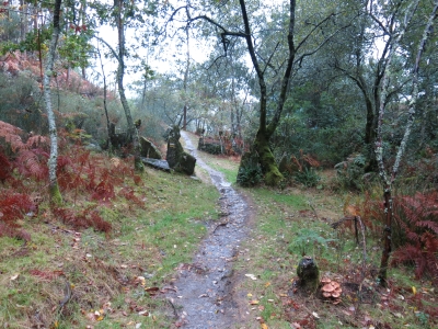 Caminho Português de Santiago